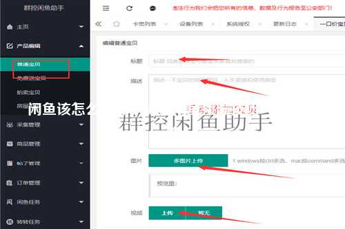 闲鱼该怎么捡漏？揭秘闲鱼捡漏技巧与实用攻略